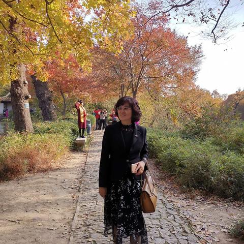 游记 深秋拙政园和醉美天平山