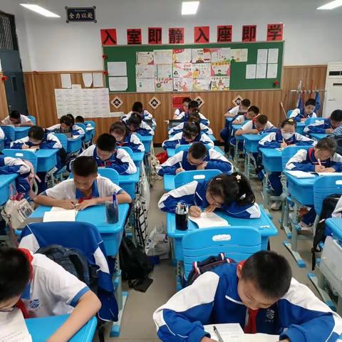 十六周工作总结