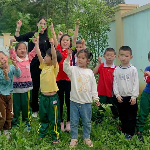 多宝中心幼儿园樱桃🍒大班五一劳动节活动