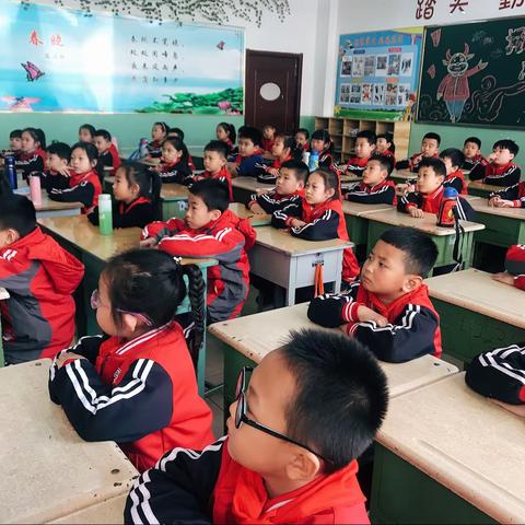 劳动快乐相伴 成长如期而至——一九071班劳动实践活动纪实