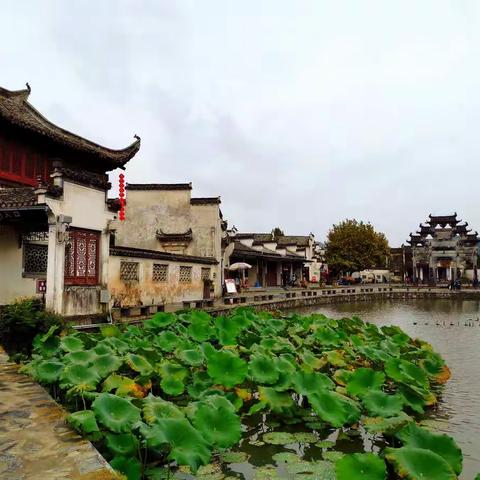 秋游皖南（二）——又见宏村、西递、呈坎