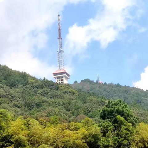 岁岁重阳 今又重阳— 无锡电校65届部分同学小聚青山公园(剪影)
