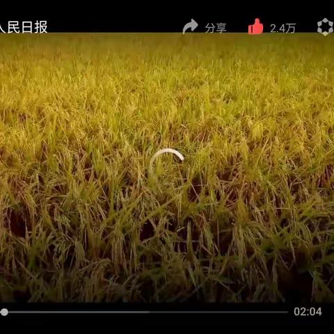 爱惜粮食，从我做起——漳州市龙海区东泗乡中心幼儿园董浦分园