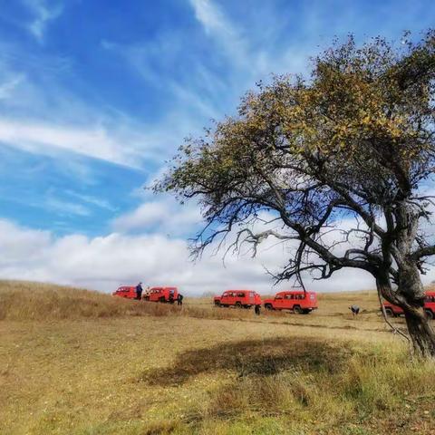 坝上草原之（三）配曲：草原的秋天