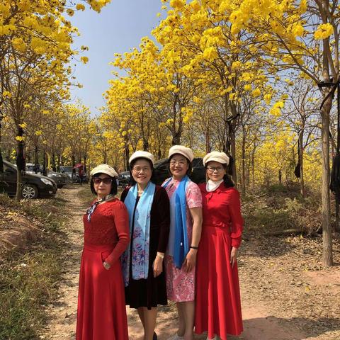 初春赏花配曲:花开喜洋洋