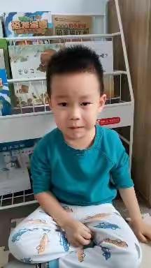 “停课不停学 合力促成长”——铁西区德龙幼儿园中一班幼儿居家系列活