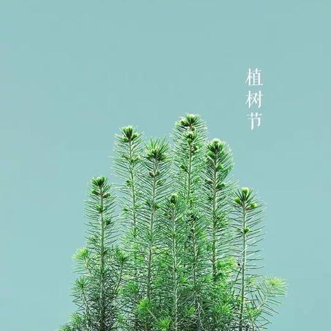 “草长莺飞，为爱添绿”——张官屯小学3月植树节活动纪实