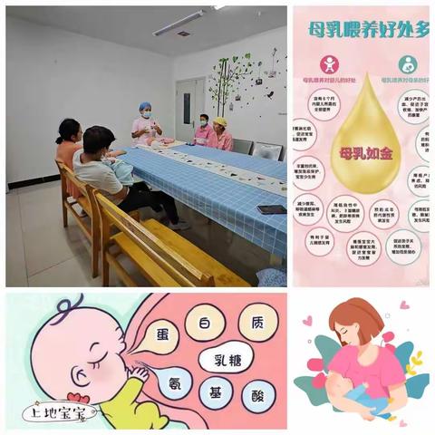 第31届母乳喂养促进，健康教育先行