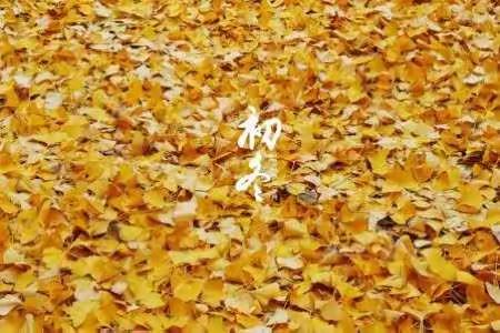 奔跑吧，伐木累！——云峰台亲子活动