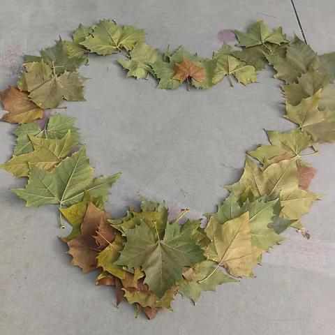 东崔庄小学大班户外活动               我和秋天的落叶