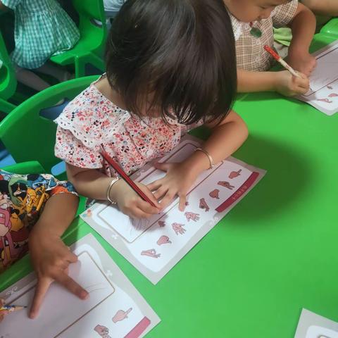 新晨幼儿园中一班，