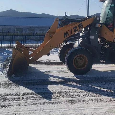 新林镇——人居环境集中整治清雪行动