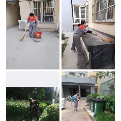 永明路办事处全域无垃圾清洁行动小结