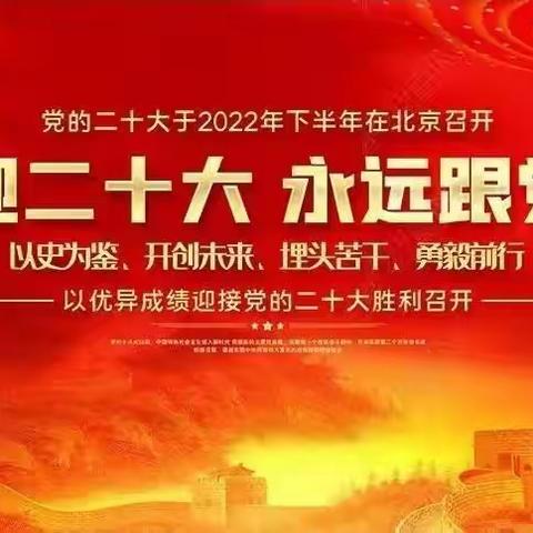 喜迎二十大，永远跟党走，奋进新征程主题活动——东明县大屯镇龙山集小学