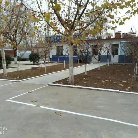 撸起袖子加油干，齐心协力美校园