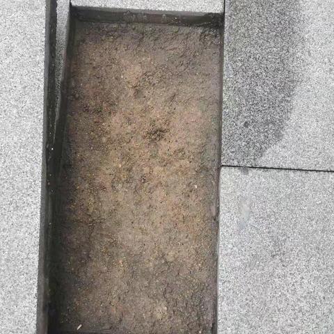 二胖广场砖情况