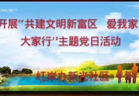 开展“共建文明新富区  爱我家乡大家行”主题党日活动