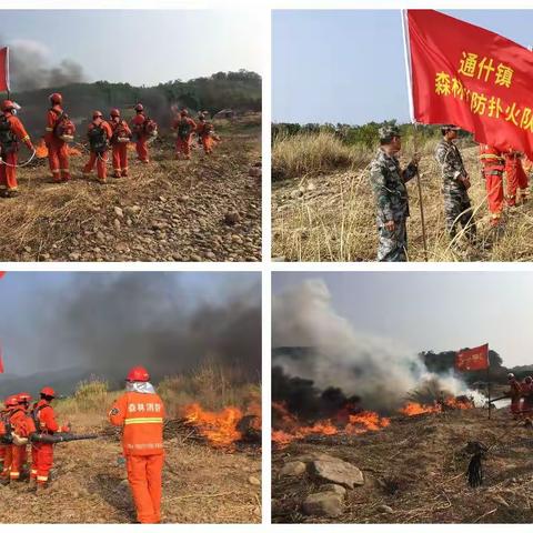 通什镇开展“全国两会、博鳌亚洲论坛”等重点时段森林防灭火隐患排查整治工作