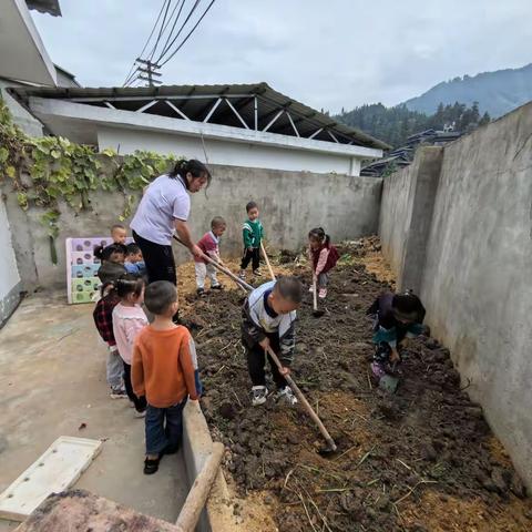 播种希望，收获成长