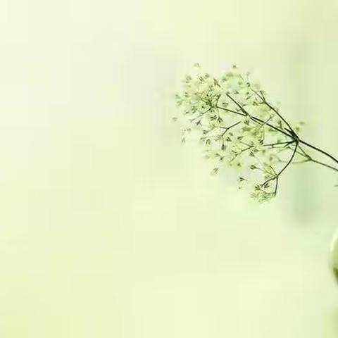 省培计划（小学语文）第四组——走近刘燕君