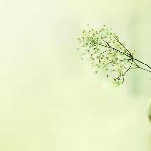 省培计划（小学语文）第四组再入众意，收获满满