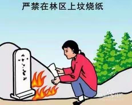 清明时节，预防火灾——西赤小学开展“清明时节，预防森林火灾”的主题活动
