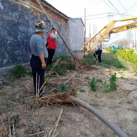 提升人居环境，植树增添绿色