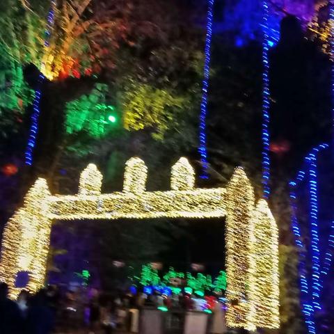 天行森林公园花灯展