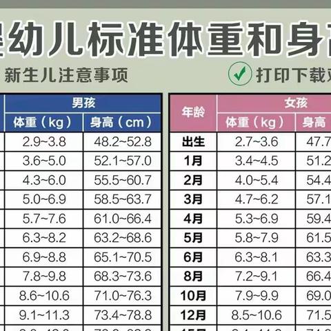 辅食添加与早教
