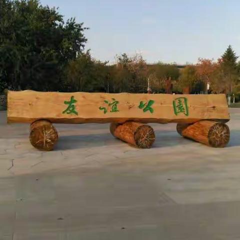 友谊公园的秋景美如画！