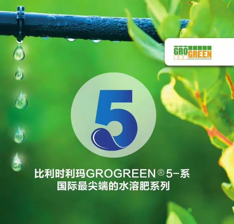 比利时利玛产品简介