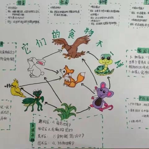 《它们的食物不一样》——大一班第六周主题活动纪实