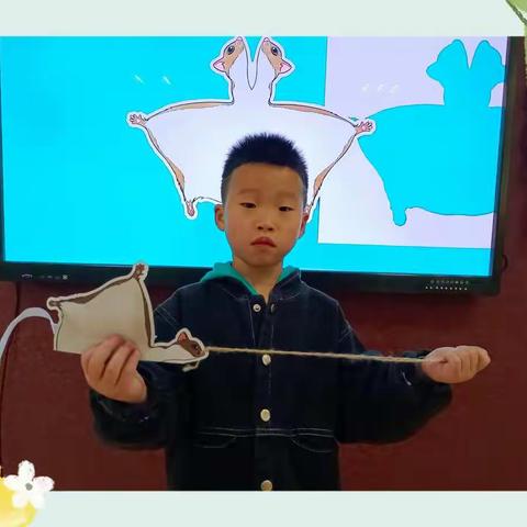 《尾巴的秘密》——中一班第九周主题活动纪实