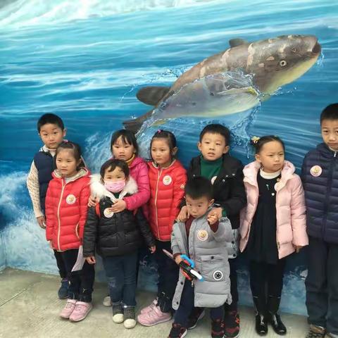 “小鱼迷”中洋河豚庄园之行