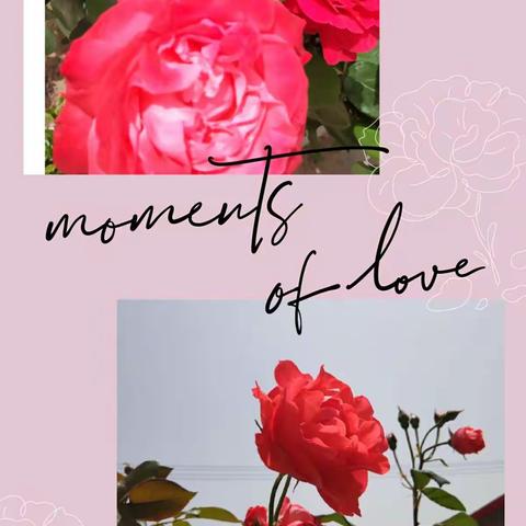 心心交流  共待花开-依汶小学开展入户家访教研活动