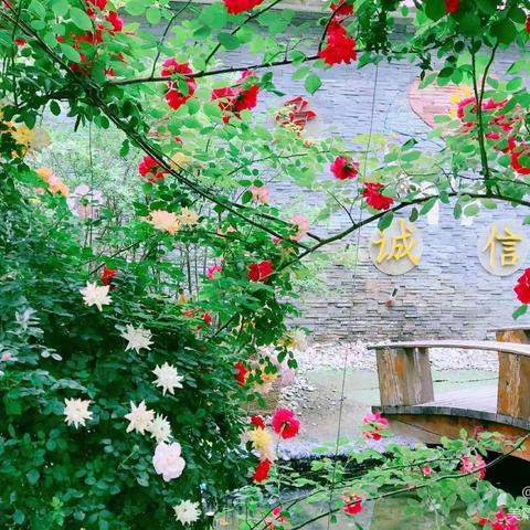 凯旋路小学校本研修《中国儿童发展纲要》