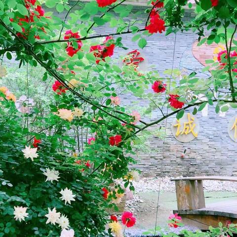 觉察自我，给予尊重——西工区凯旋路小学校本研修