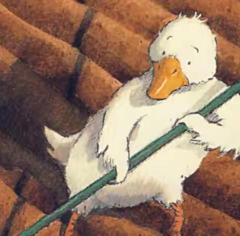 童心  童趣   童书——西工区凯旋路小学金牡丹读书节活动之绘本课研讨