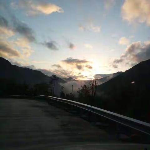 生活不止苟且，却没有詩和远方