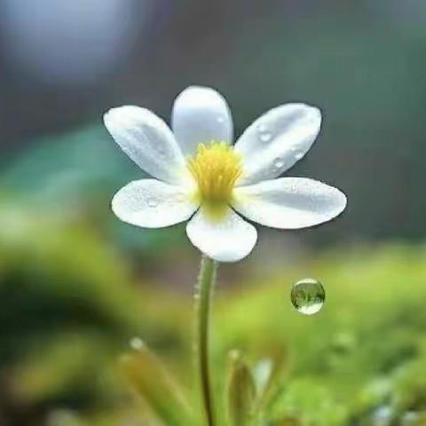 午夜听雨