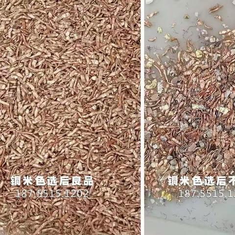 铜米铜线色选机 废旧金属分选设备