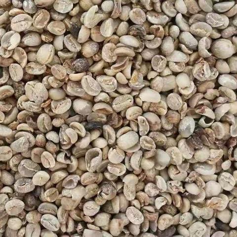 生咖啡豆色选机色选案例