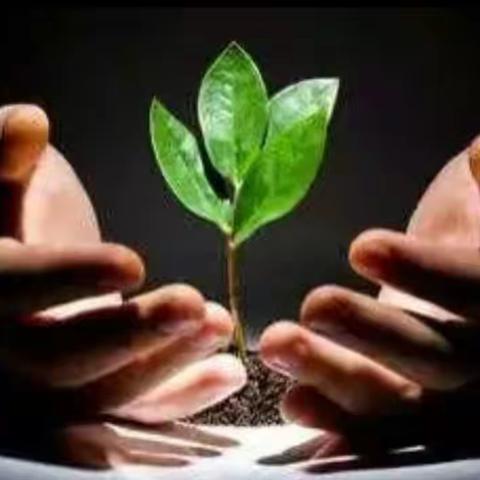 别样的寒假生活   冬日的悠悠暖阳 ——   二二班寒假纪实（2）