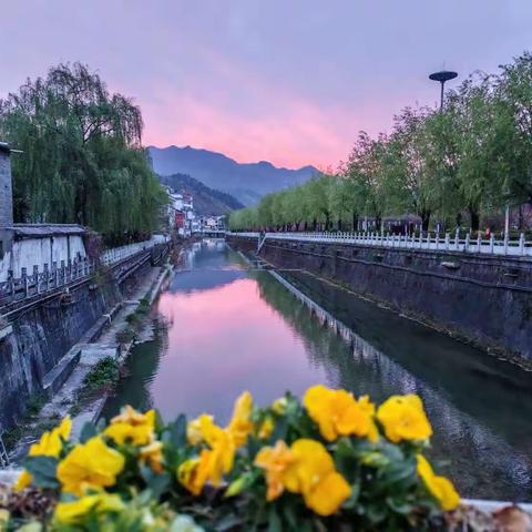 陌上花开，可缓缓归矣