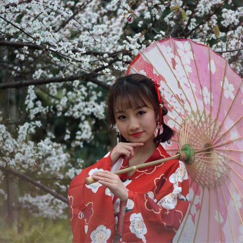 樱花妹子