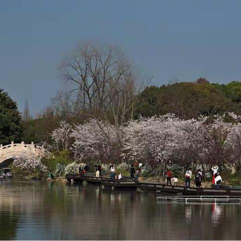 留住美丽春天