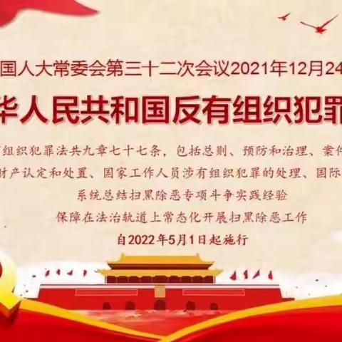 同兴分园《反有组织犯罪法》宣传教育