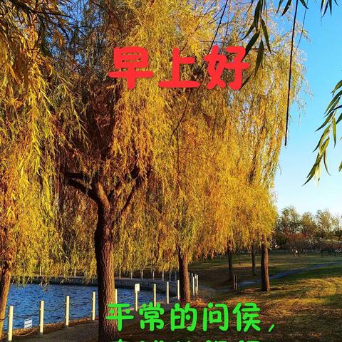 手机攝影的后期制作