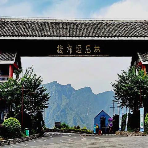 湖北 恩施 梭布垭石林