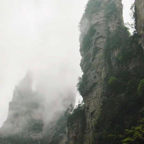 烟雨张家界               水墨武陵源
